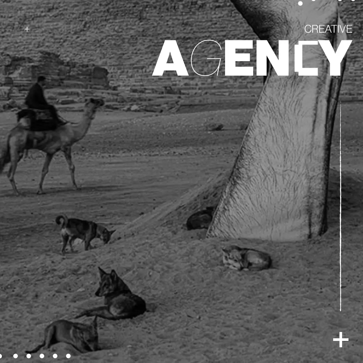 Agency
